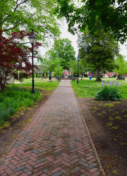Brick Pathway Repair in Springdale