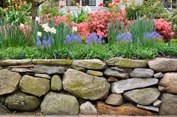Garden Wall Installation in Springdale
