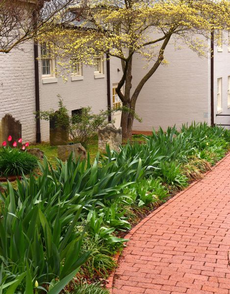 Brick Flatwork Repair in Springdale